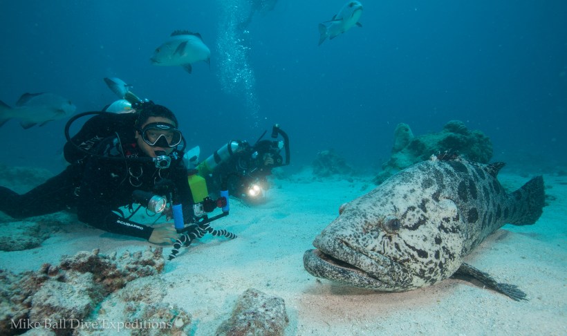 604211_js_codhole-22