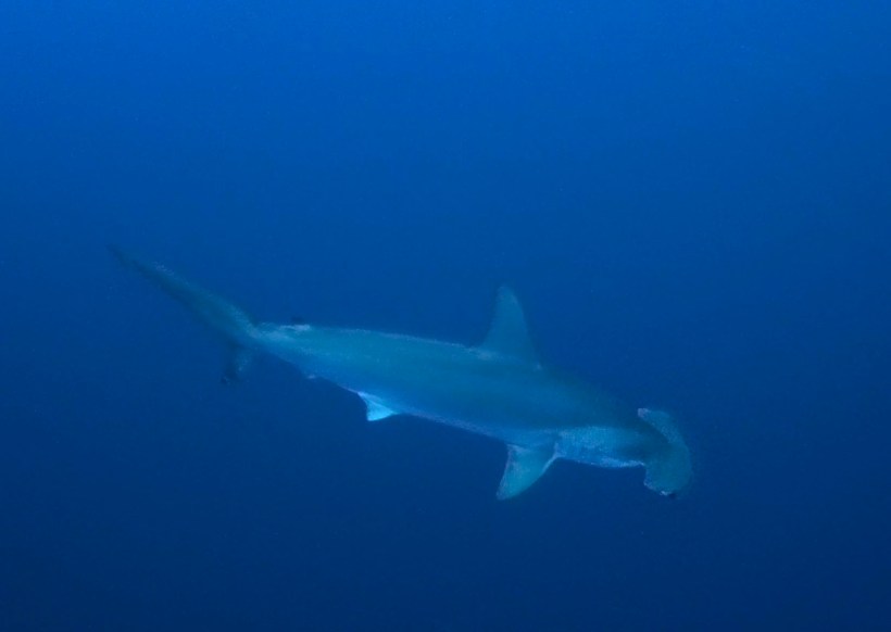 Screen Shot 2016-06-21 at 8.47.21 PM copy